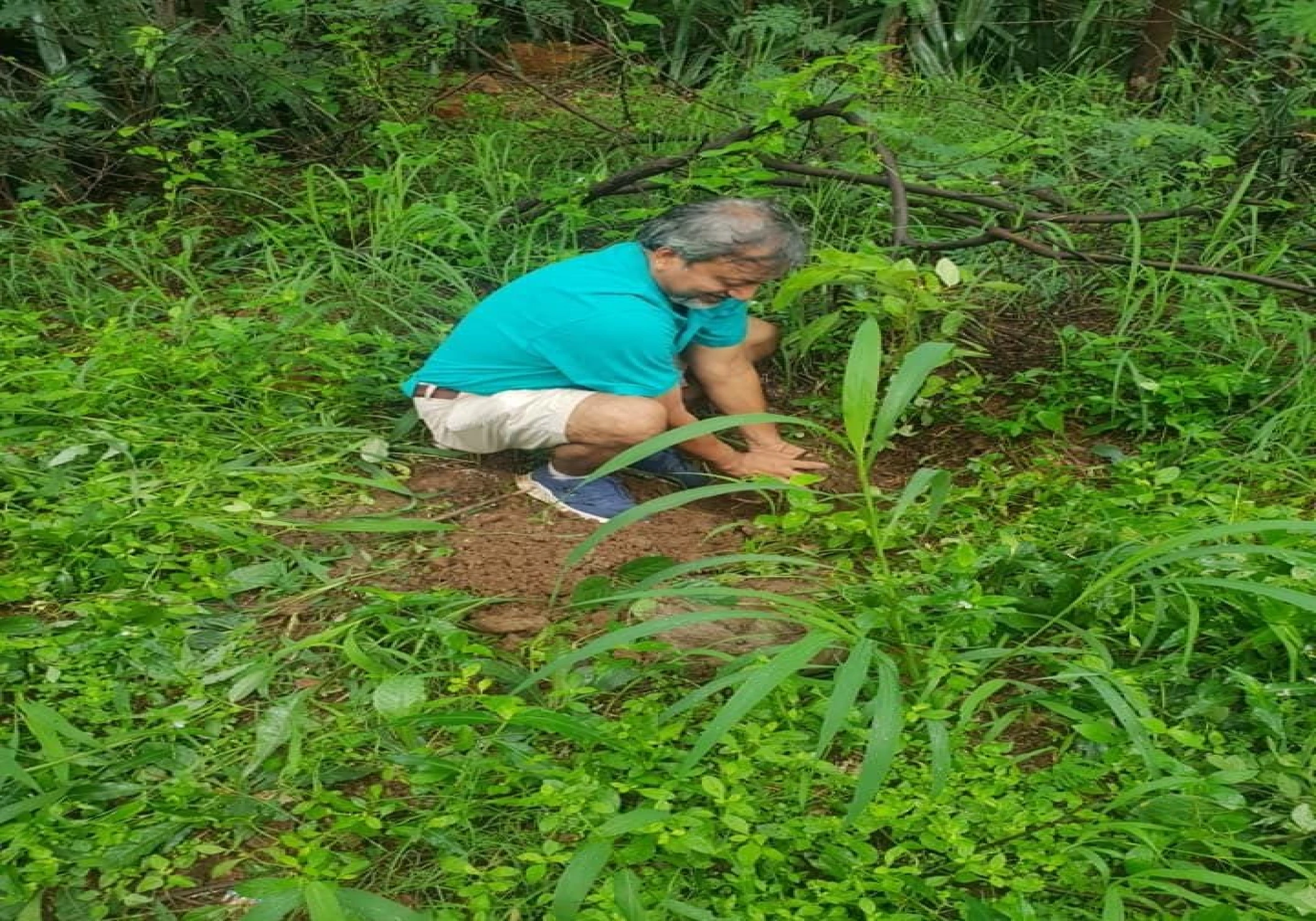 Neeraj Gupta: An Environmentalist and Plant Lover